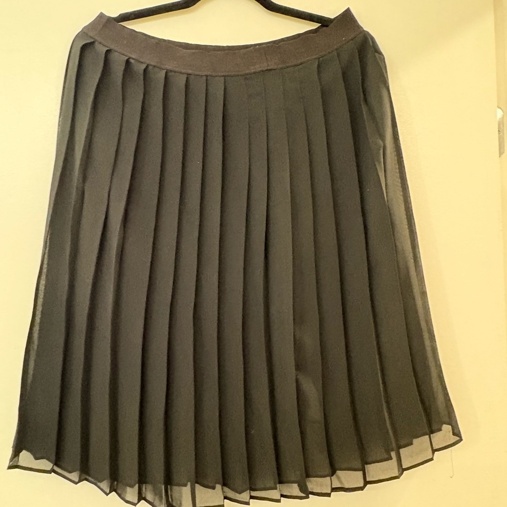 Ella Moss Black Pleated A-Line Skirt